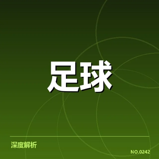 费内巴切转会动向：球队引援方向何去何从